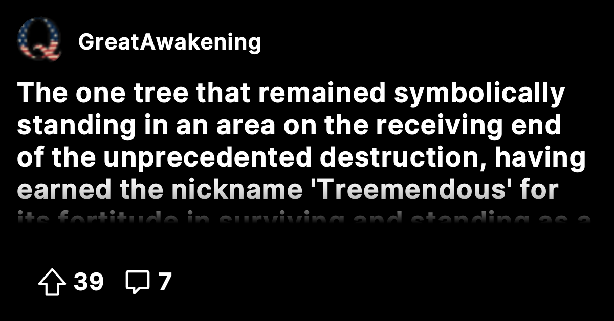 The one tree that remained symbolically standing in an area on the ...